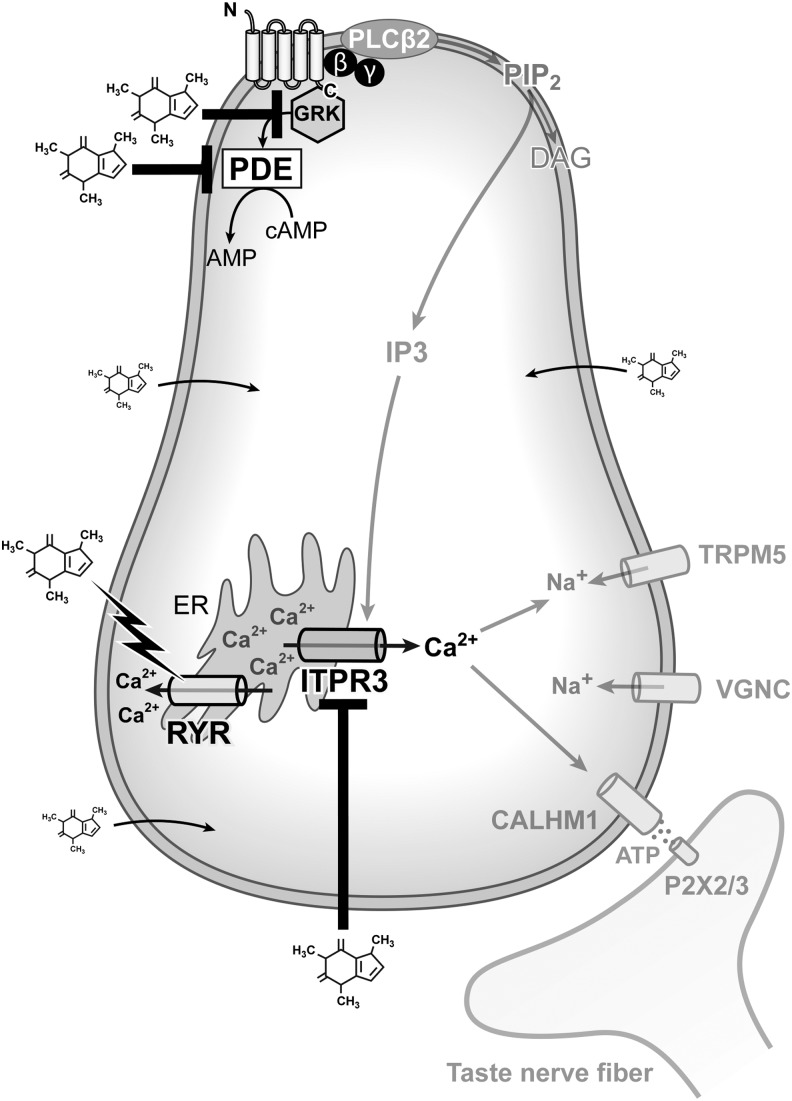 FIG. 4.