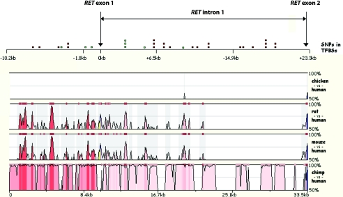 Figure  1