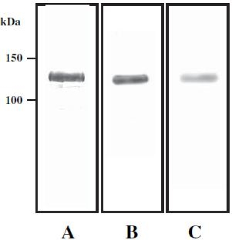 Fig. 1A–C