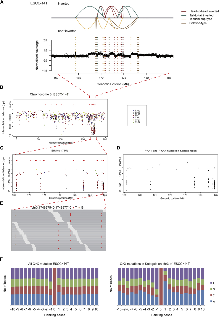 Figure 4