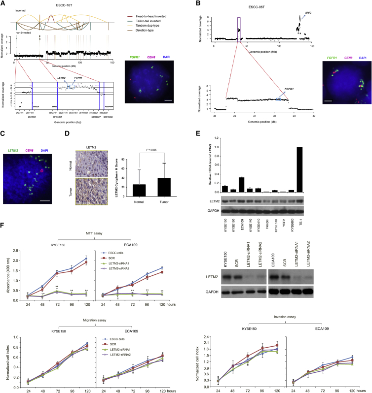 Figure 2