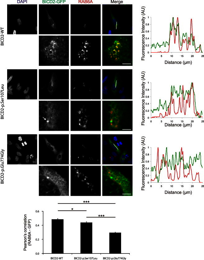 Figure 3