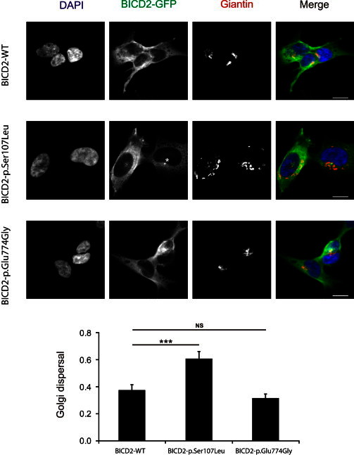 Figure 5