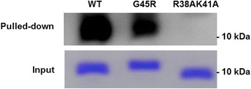 Fig. 2