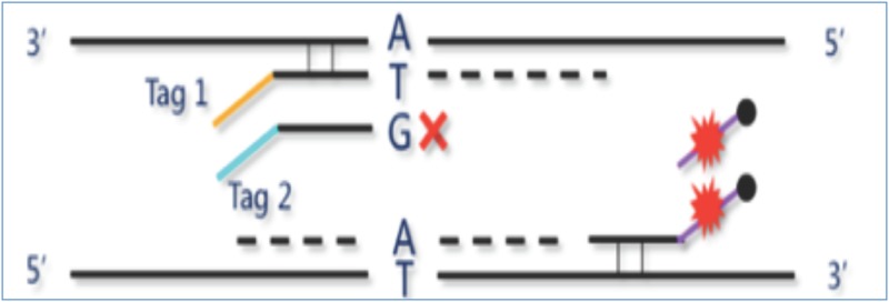 Fig 2