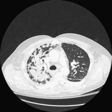 Fig. 12.3
