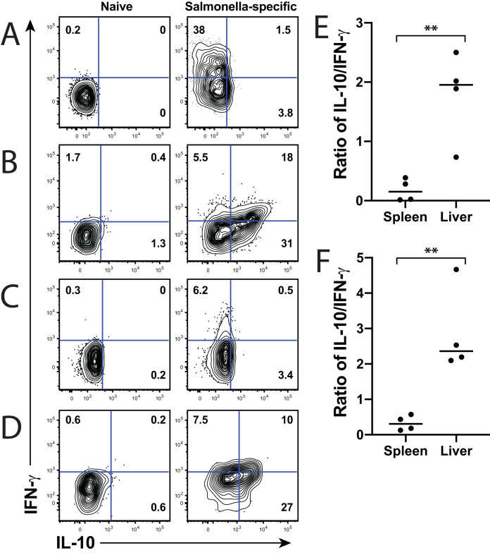 FIG 3