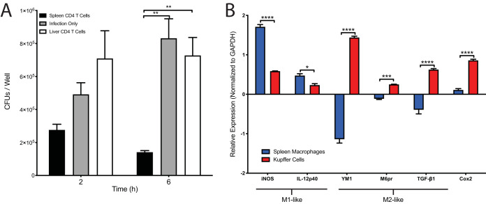 FIG 6