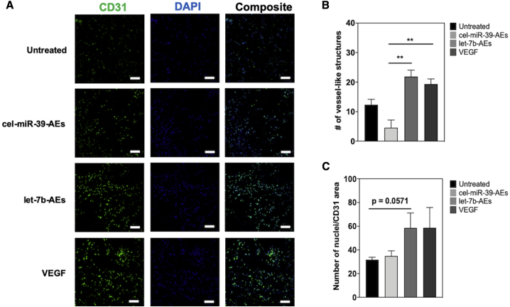 Figure 6