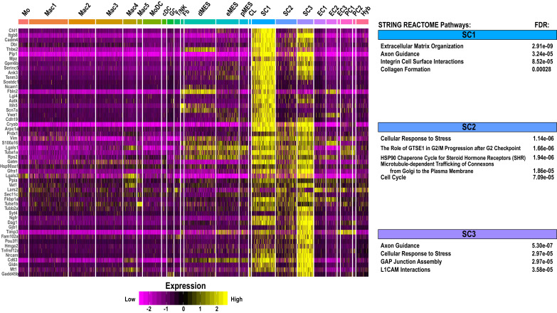 Figure 5—figure supplement 3.