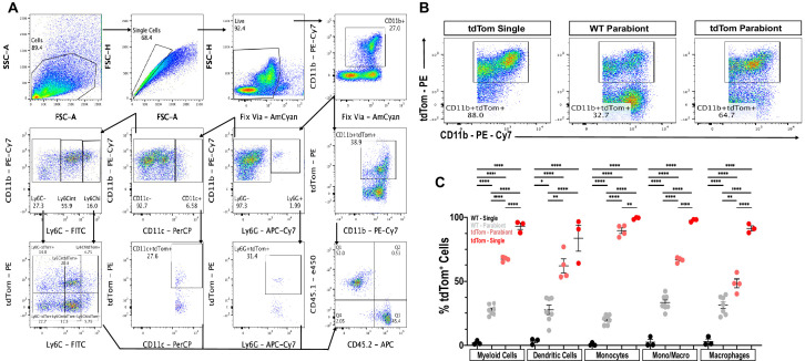 Figure 3—figure supplement 1.