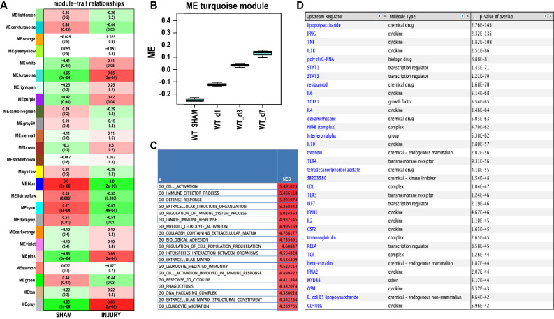 Figure 4—figure supplement 1.