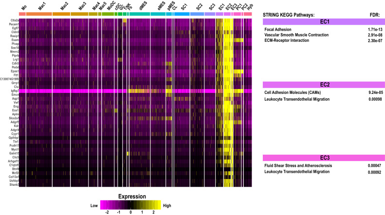 Figure 5—figure supplement 4.