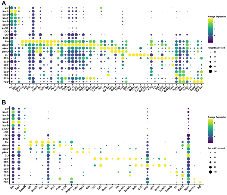 Figure 5—figure supplement 1.