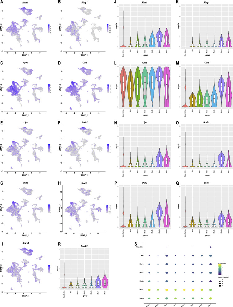 Figure 6—figure supplement 6.