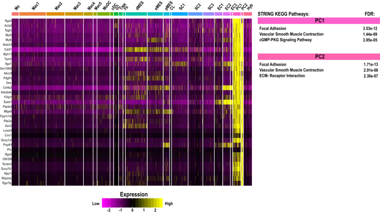 Figure 5—figure supplement 5.