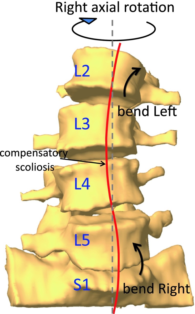 Fig. 5