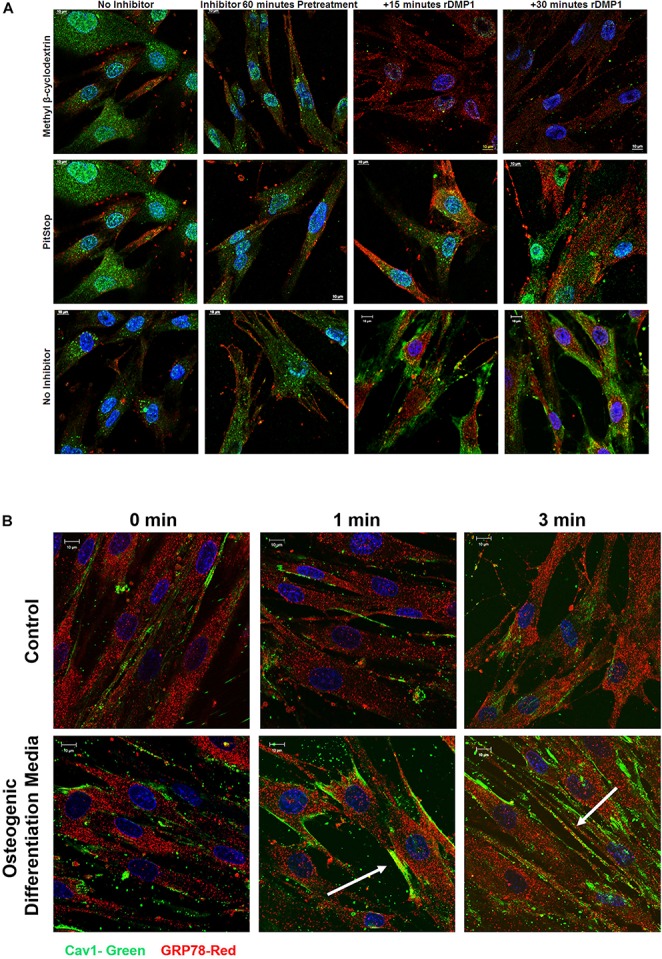 FIGURE 3