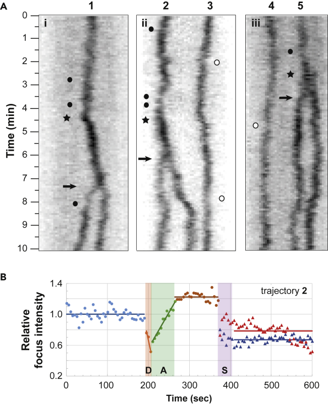 Figure 3