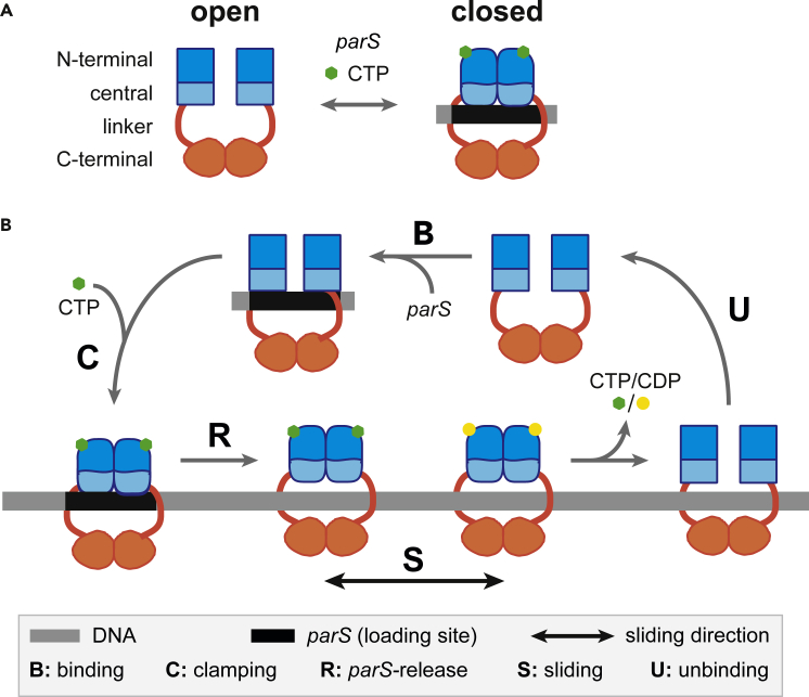 Figure 1