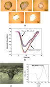 (a) Evolution of film failure with increased loading for PBO film; initial delamination occurs at lower fluence values before ejection of film occurs (Adapted with permission from Kandula et al. [59]. Copyright 2008 by Elsevier). (b) Comparison of substrate stress profiles of multiple measurements at fixed laser fluence values to validate repeatability of stress-wave generation (Adapted with permission from Grady et al. [41]. Copyright 2014 by Elsevier). (c) Failure occurring from loading of polyurea films from a side view; depth of failure is indicated by bracketed line (Adapted with permission from Youssef and Gupta [90]. Copyright 2018 by Springer Nature). (d) Spall strength of polyurea measured by Youssef and Gupta (Adapted with permission from Youssef and Gupta [90]. Copyright 2018 by Springer Nature).