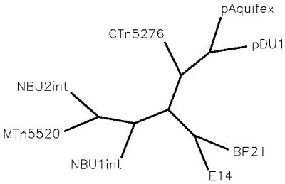 FIG. 6