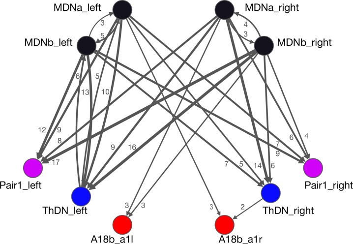 Figure 4—figure supplement 1.