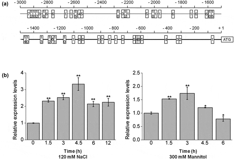 Figure 1.