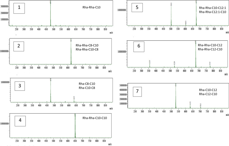 Fig. 3