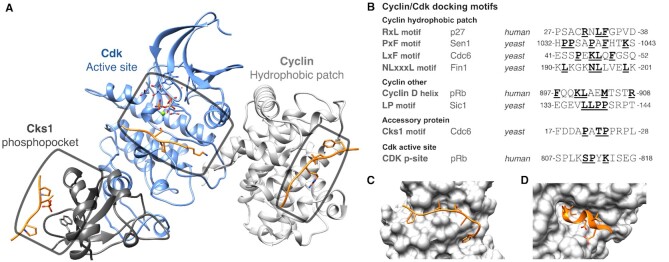 Figure 2.