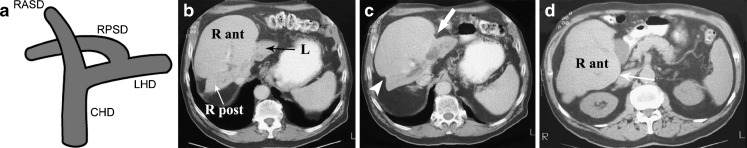 Fig. 8