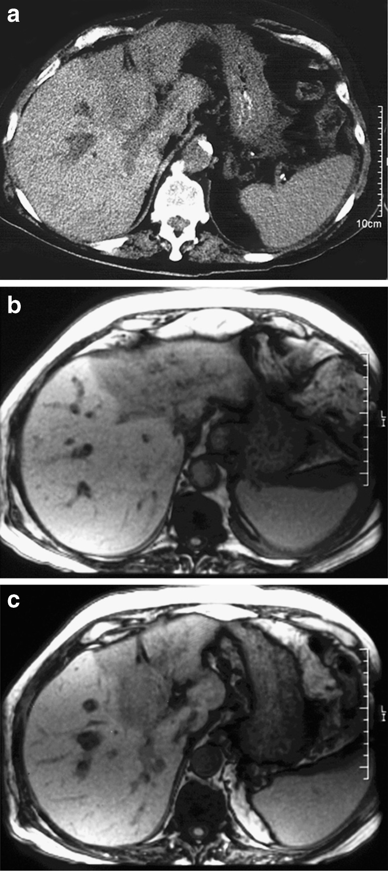 Fig. 5