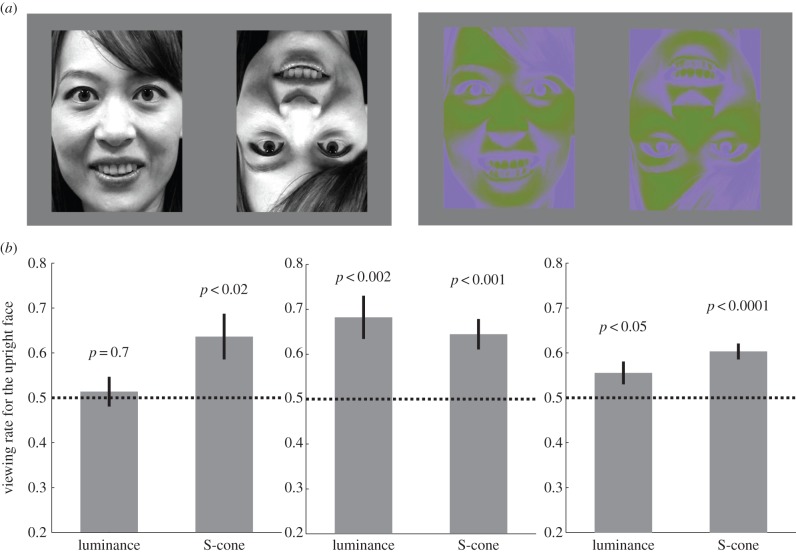 Figure 1.