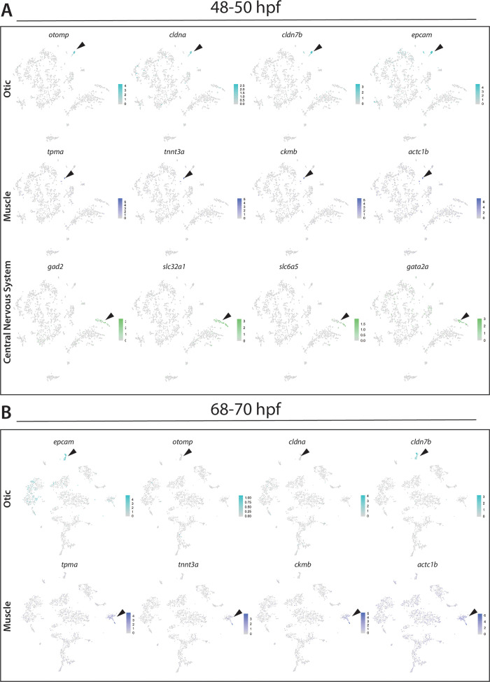 Figure 1—figure supplement 4.