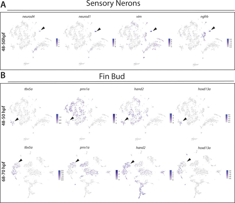 Figure 1—figure supplement 5.