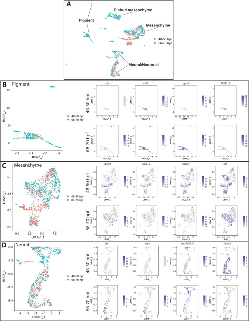 Figure 6—figure supplement 2.