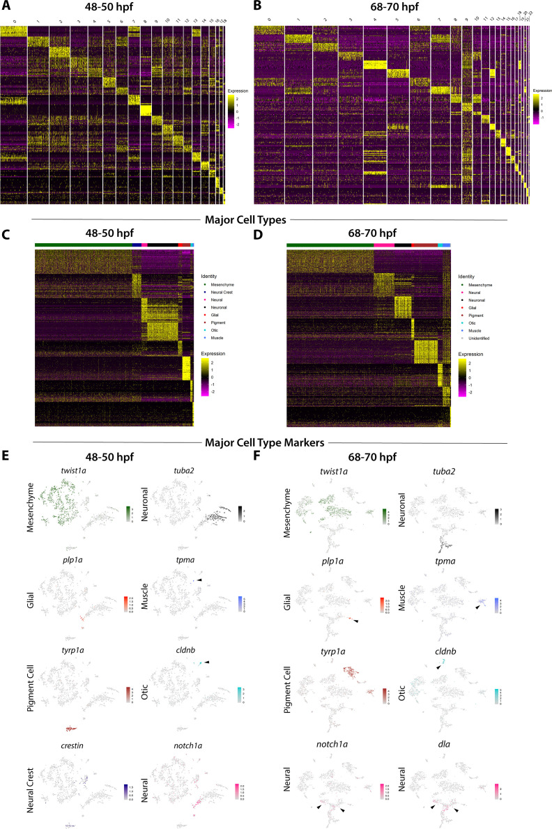 Figure 1—figure supplement 2.