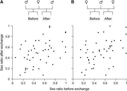 Figure 3.—