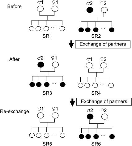 Figure 1.—