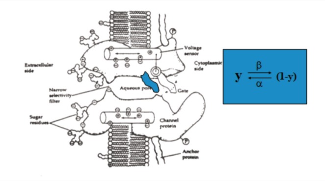 graphic file with name 153-166f8.jpg