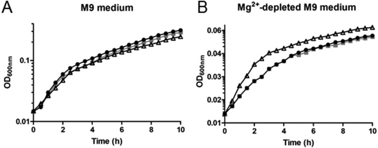 FIG 2