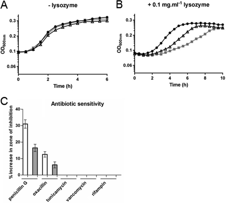 FIG 4