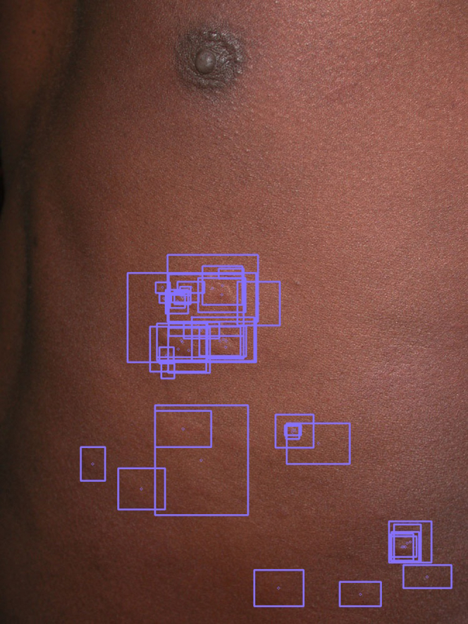 Figure 1