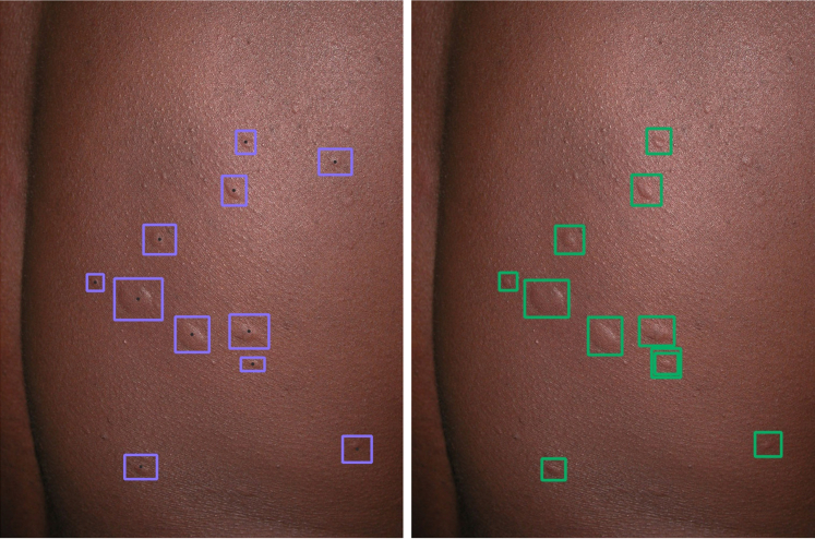 Figure 4