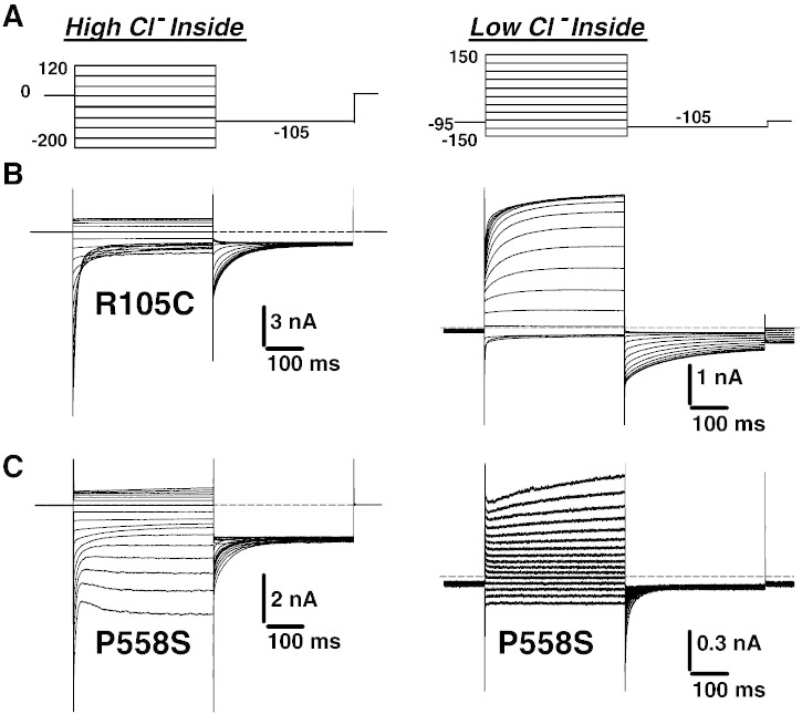 Fig. 5