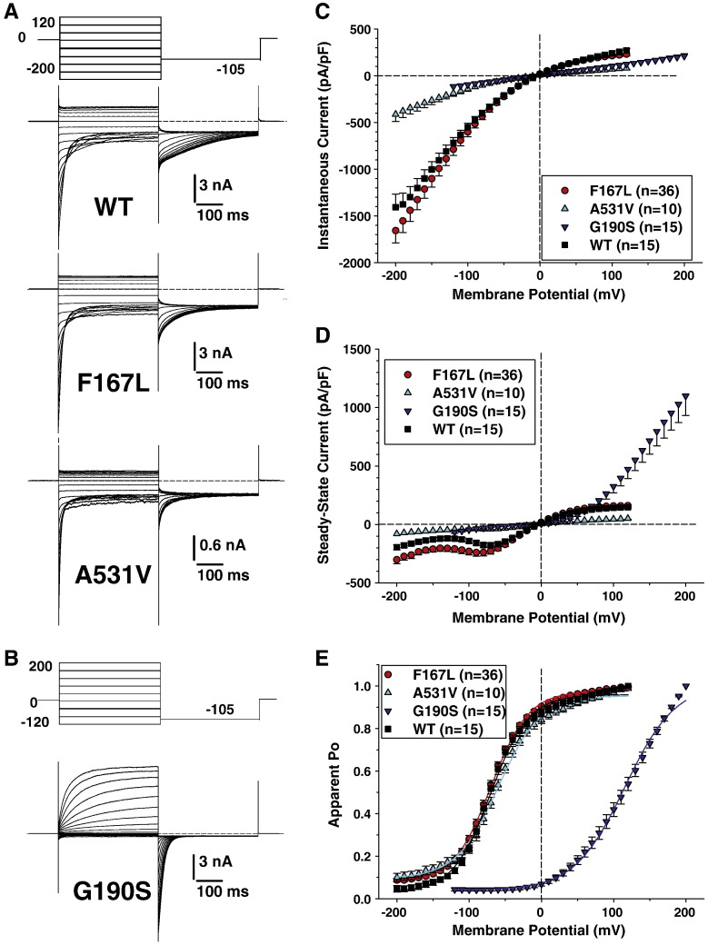 Fig. 1