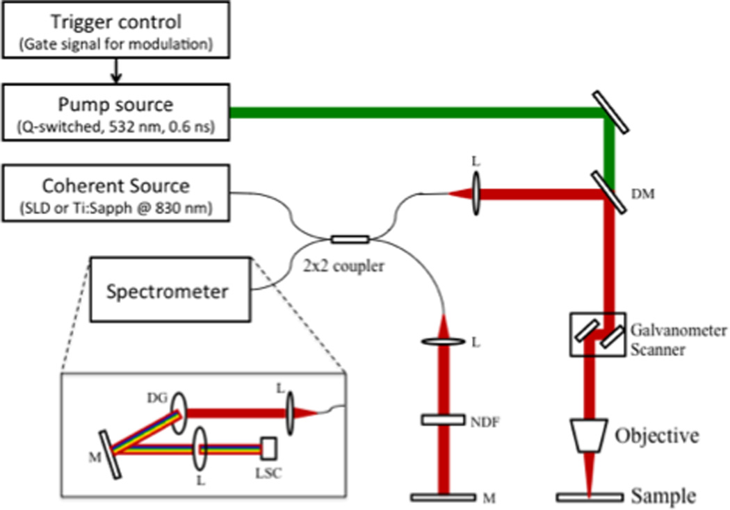 graphic file with name nihms800413f1.jpg