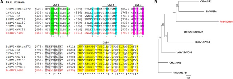 FIGURE 3