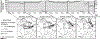 Figure 10.
