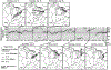 Figure 11.